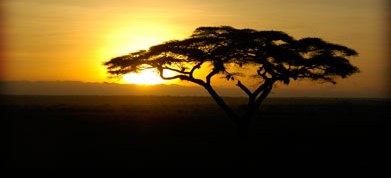 honeymoon in tanzania